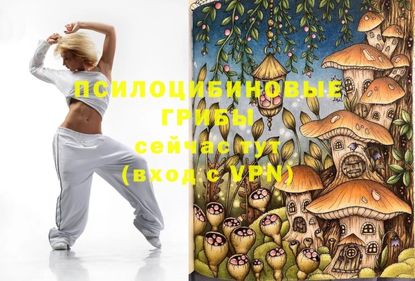 PSILOCYBIN Каменногорск