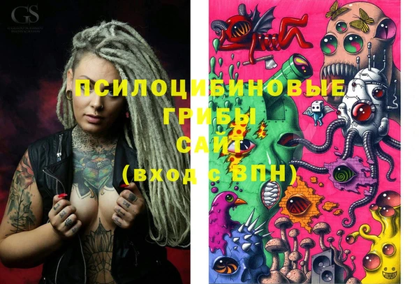 PSILOCYBIN Каменногорск