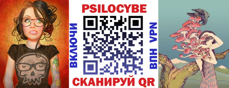 Купить где Волжск Псилоцибиновые грибы Psilocybe